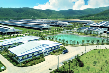 哪些因素助力Vinamilk (VNM)在越南股市持续下跌的背景下走出独立行情，市值暴增数十亿美元？