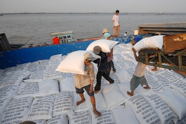 越南大米出口量和出口额同步下降