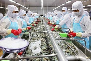 今年最后几个月，越南水产行业仍具有增长机会