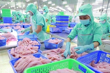 越南水产品出口额达到80亿美元
