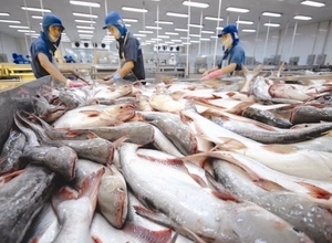 2022年，越南查鱼出口世界上140多个市场