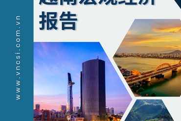 2023年11月和前11个月越南宏观经济报告