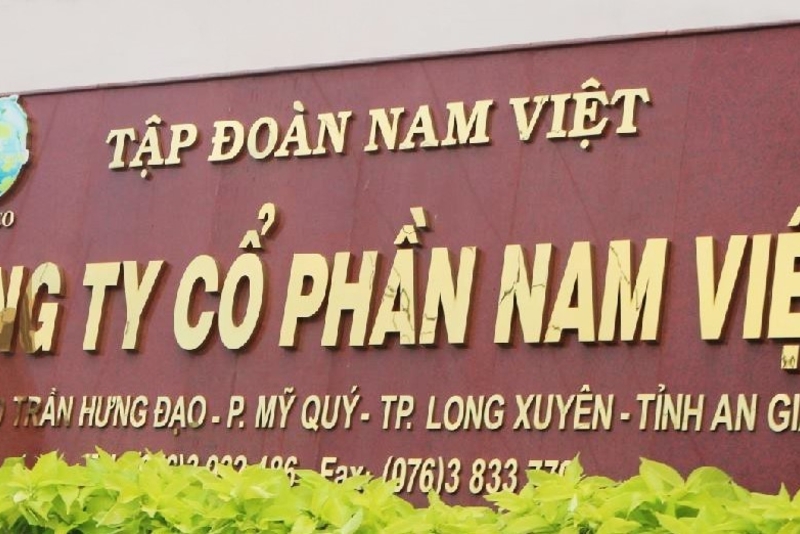 Báo cáo nhanh Công ty cổ phần Nam Việt (ANV - HSX)  