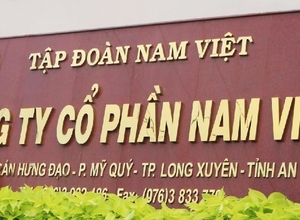 Báo cáo nhanh Công ty cổ phần Nam Việt (ANV - HSX)  