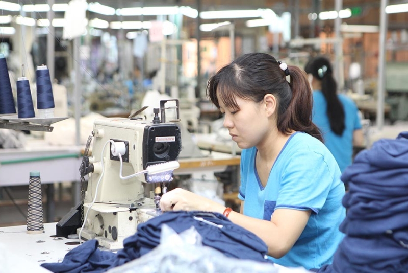 2024年上半年经济情况：商品进出口发展空间广阔