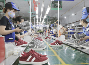 2024年皮革鞋类出口额预计将达约260~270亿美元