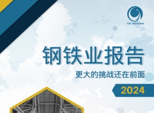 钢铁业报告