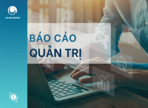 CBTT - Báo cáo tình hình quản trị bán niên 2023