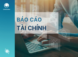 CSI - CBTT báo cáo tài chính quý II.2024