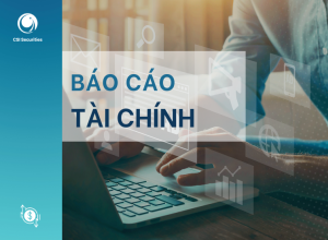 CBTT - Báo cáo tài chính quý II năm 2023 kèm giải trình