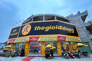 個股研報 移動世界投資股份公司 (MWG - HSX)