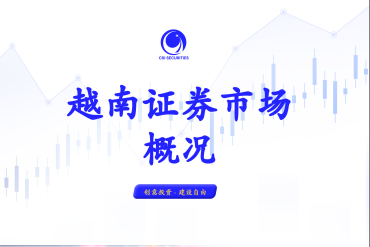 越南证券市场本周概况 - 2024.11.11 - 2024.11.15