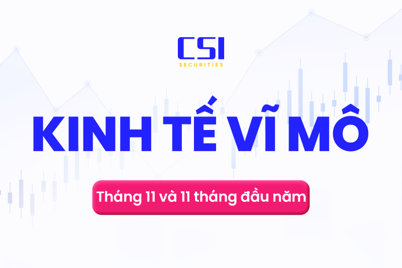 Báo cáo kinh tế vĩ mô tháng 11 & 11 tháng năm 2024