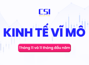 Báo cáo kinh tế vĩ mô tháng 11 & 11 tháng năm 2024