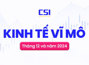 Báo cáo kinh tế vĩ mô tháng 12 & năm 2024