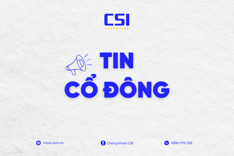 Báo cáo tình hình quản trị Công ty năm 2024