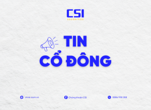 Báo cáo tình hình quản trị Công ty năm 2024