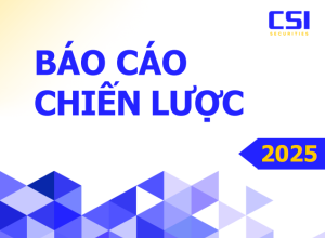 Báo cáo chiến lược đầu tư năm 2025