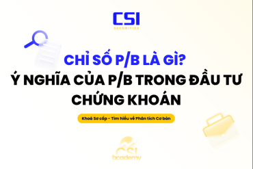 Chỉ số P/B là gì? Ý nghĩa của P/B trong đầu tư chứng khoán