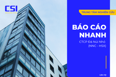 Báo cáo nhanh CTCP Đá Núi Nhỏ (NNC - HSX)