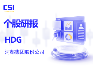 个股研报：河都集团股份公司 (HDG - HSX)