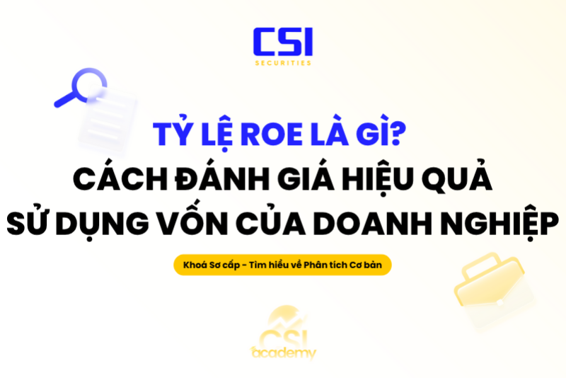 Tỷ lệ ROE là gì? Cách đánh giá hiệu quả sử dụng vốn của doanh nghiệp