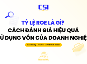Tỷ lệ ROE là gì? Cách đánh giá hiệu quả sử dụng vốn của doanh nghiệp