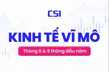Báo cáo kinh tế vĩ mô tháng 6 và 6 tháng đầu năm 2025