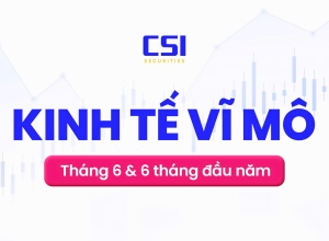 Báo cáo kinh tế vĩ mô tháng 6 và 6 tháng đầu năm 2025