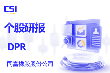 个股研报：同富橡胶股份公司 (DPR - HOSE)
