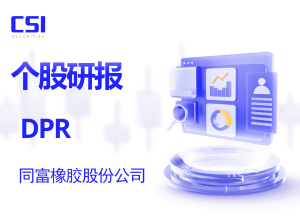 个股研报：同富橡胶股份公司 (DPR - HOSE)