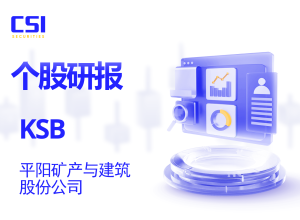 个股研报: 平阳矿产与建筑股份公司 (KSB - HSX)