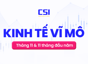 Báo cáo kinh tế vĩ mô tháng 11 và mười một tháng đầu năm 2025
