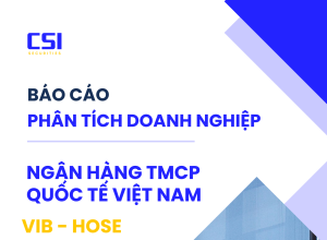 Báo cáo phân tích Ngân hàng TMCP Quốc tế Việt Nam