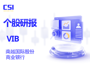个股研报: 南越国际股份商业银行 (VIB - HOSE)