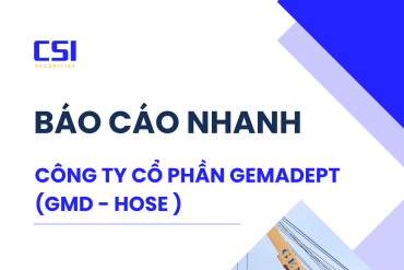 BÁO CÁO NHANH CTCP GEMADEPT (GMD-HOSE)