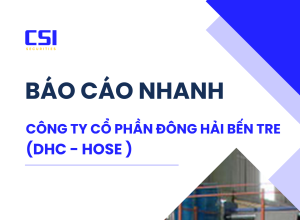 BÁO CÁO NHANH CTCP ĐÔNG HẢI BẾN TRE (DHC-HOSE)