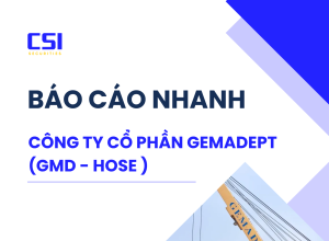BÁO CÁO NHANH CTCP GEMADEPT (GMD-HOSE)