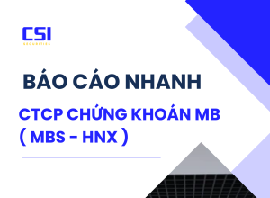 BÁO CÁO NHANH CTCP CHỨNG KHOÁN MB