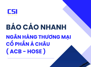BÁO CÁO NHANH NGÂN HÀNG THƯƠNG MẠI CỔ PHẦN Á CHÂU ( ACB-HOSE)