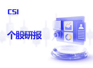 个股研报 - 胡志明市证券股份公司  (HCM - HSX)
