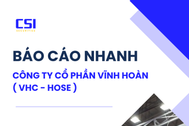 BÁO CÁO NHANH CTCP VĨNH HOÀN  ( VHC - HOSE)