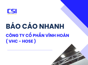 BÁO CÁO NHANH CTCP VĨNH HOÀN  ( VHC - HOSE)