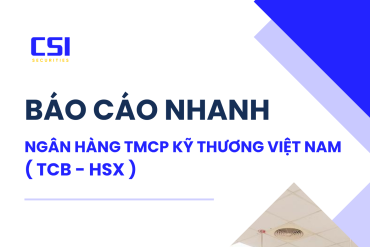 BÁO CÁO NHANH NGÂN HÀNG TMCP KỸ THƯƠNG ( TCB- HSX)