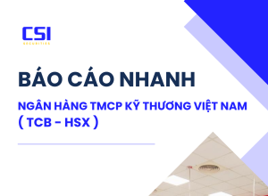 BÁO CÁO NHANH NGÂN HÀNG TMCP KỸ THƯƠNG ( TCB- HSX)