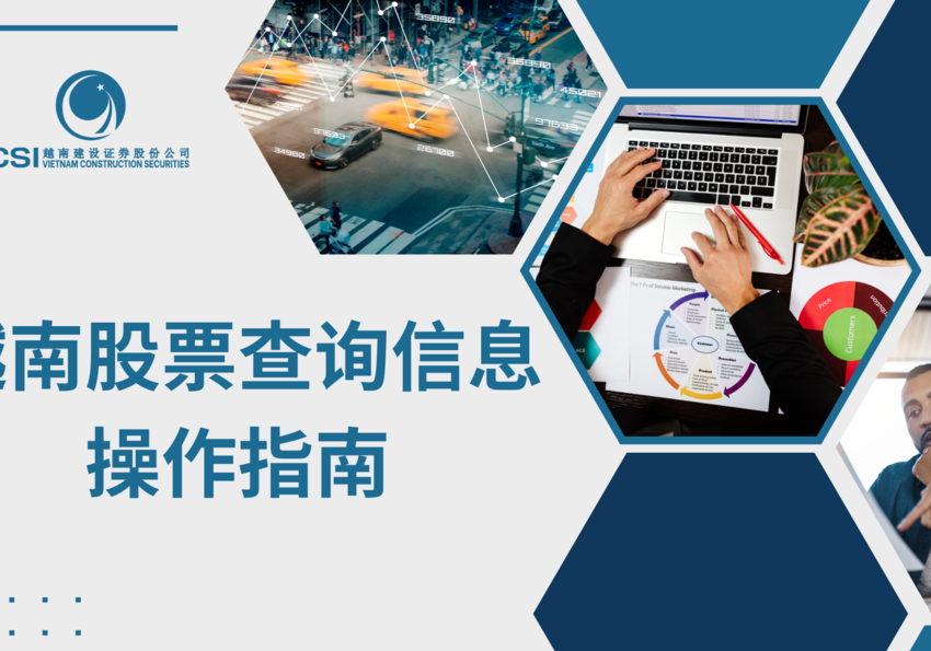 CSI 越南股票查询信息操作指南