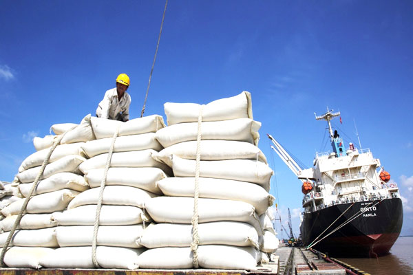 Nghịch lý thị trường xuất khẩu gạo Việt Nam - Ảnh 2.